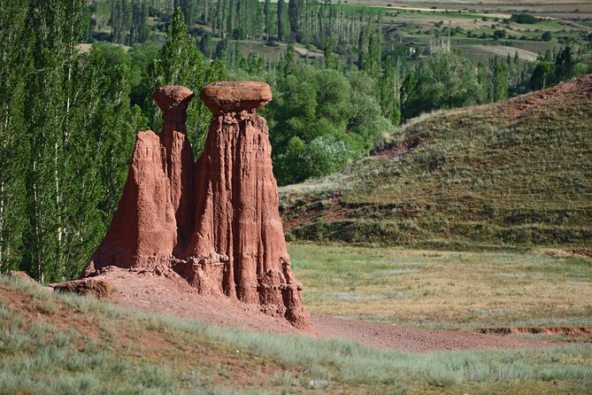 All-inclusive Private Guided 2-day Tour of Erzurum - Assistance and Support