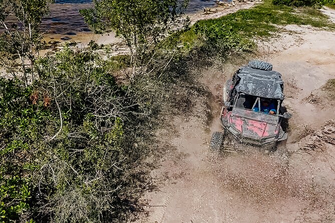 All-Inclusive Private Guided Raizer Type 4x4 Tour in Cozumel - Selected Positive and Negative Reviews