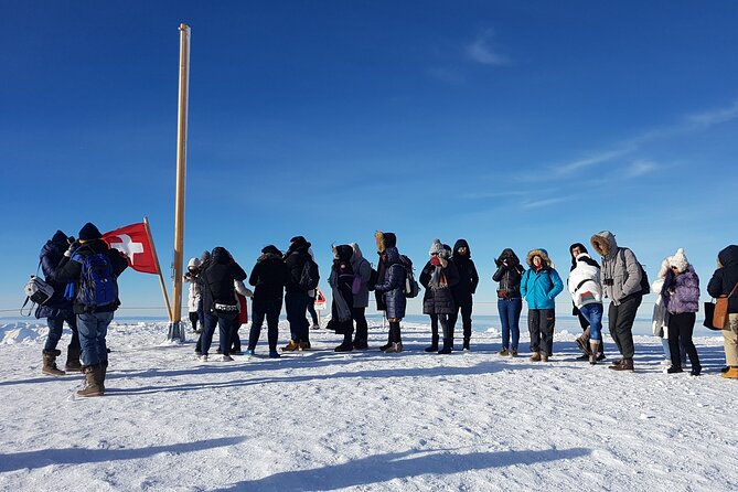 Alpine Majesty: From Basel to Jungfraujoch Exclusive Private Tour - Pricing and Booking Information