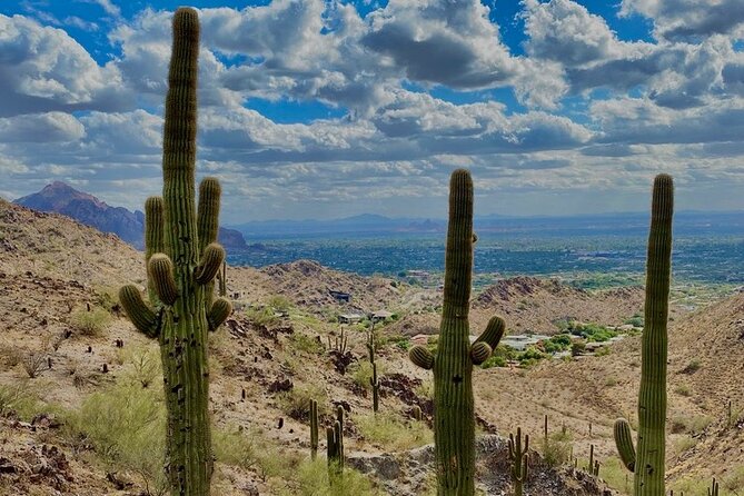 Amazing 2-Hour Guided Hiking Adventure in the Sonoran Desert - Meeting Point and Time