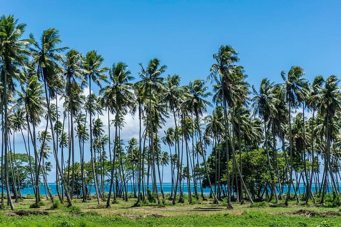 Amazing Attractions of Tahiti Charming Island – Private Half Day Circle Tour - Tour Highlights