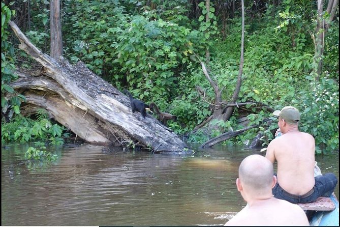 Amazon Jungle Excursions 2/ Days /1 Night - Testimonials and Reviews