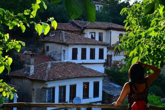 Ancient City of Ephesus & Sirince Turkish Village Tour From Kusadasi - Tour Itinerary and Schedule
