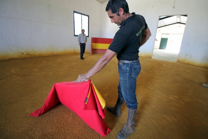 Andalucia Bull and Horse Farm and Ronda Private Tour From Malaga - Reviews and Customer Support