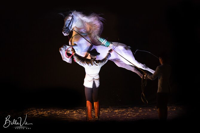 Andalusian Horse and Flamenco Show in Malaga at 5:45 Pm - Common Questions