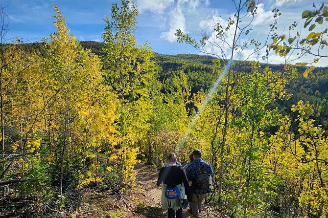 Angel Rocks Hike and Chena Hot-Springs Soak Guided Tour - Positive Review Highlight