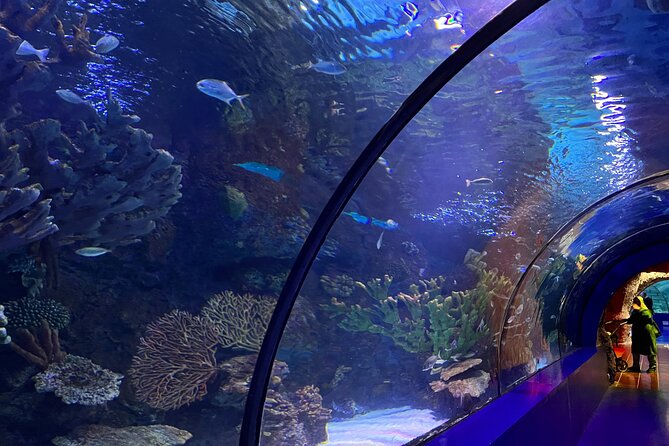 Antalya Aquarium and Face to Face Wax Museum Private Transfer - Entrance Ticket to Antalya Aquarium