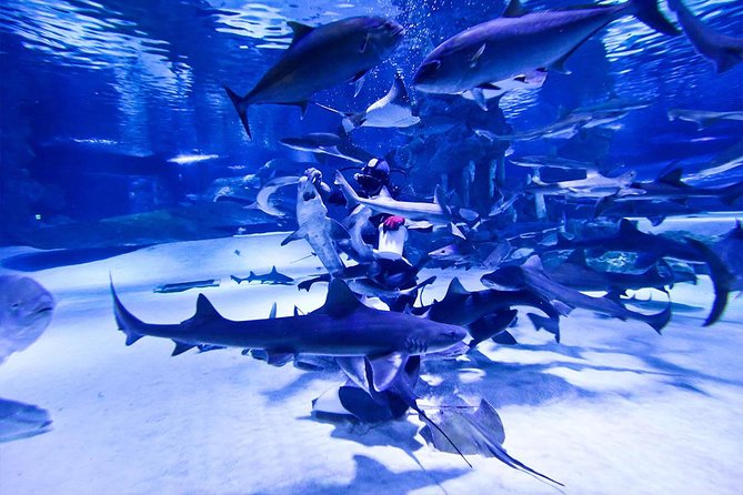 Antalya Tunnel Aquarium - Departure From Side - Pricing and Copyright