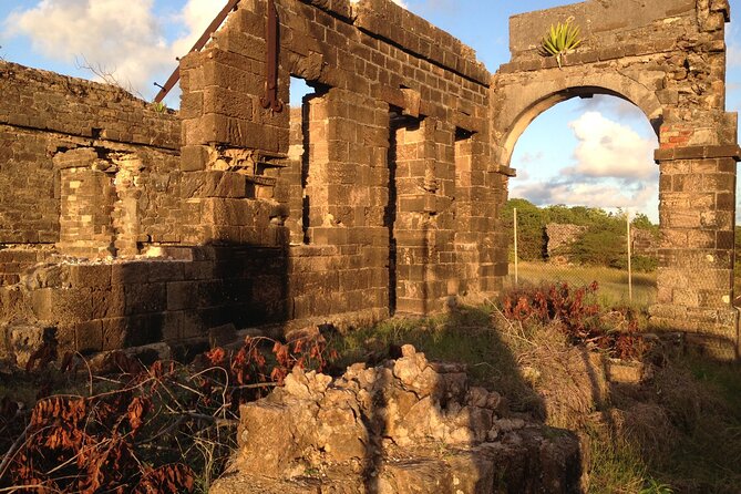 Antigua Round Island Tour - Overall Satisfaction and Positive Experiences