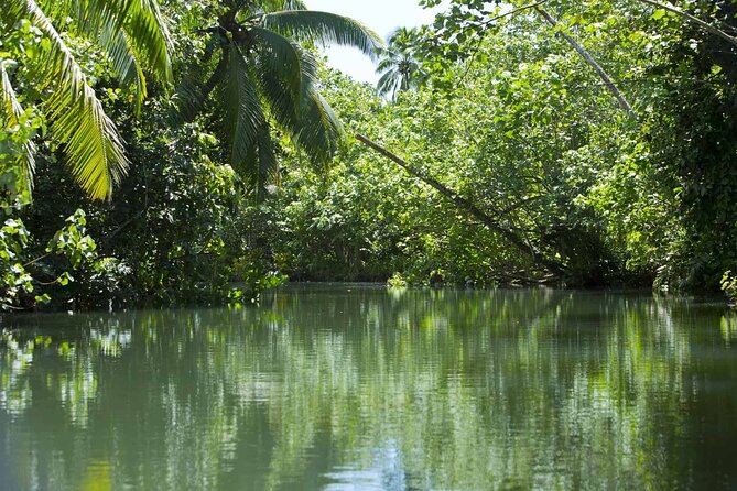Apetahi Day Trip in a Canoe Around Raiatea - Wildlife and Nature Encounters