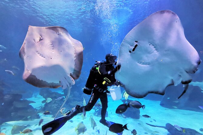 AquARia Phuket and AR Trick Eye Museum Entrance Ticket - Thailand - Cancellation Policy and Refunds