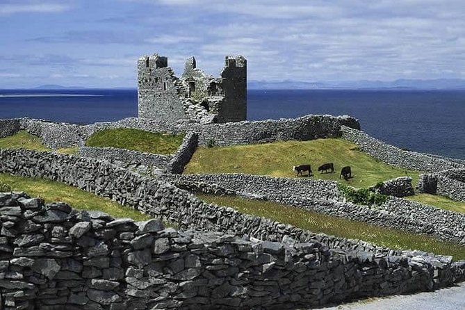 Aran Islands and Cliffs of Moher Cruise From Galway - Tips for a Successful Tour