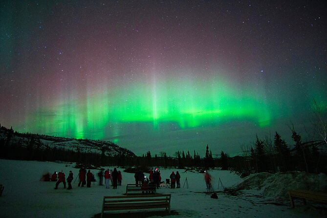 Arctic Day: Aurora Viewing Tour Evening - Traveler Photos and Reviews