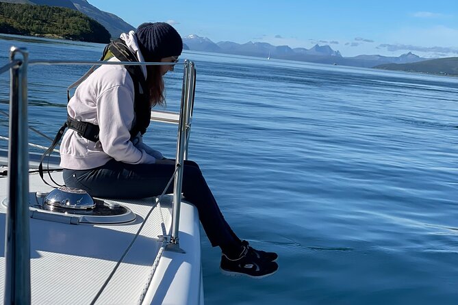 Arctic Fjordcruise & Safari in Tromso With Luxury Catamaran - Reviews and Popularity