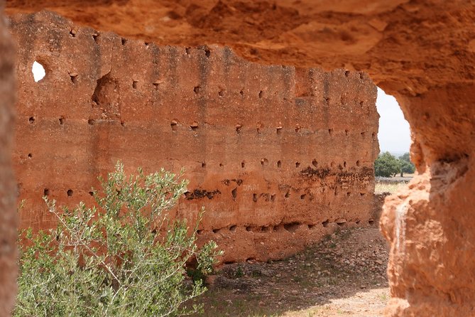 Argan Forest, Tea Time at a Berbers Family & Visit of an Argan Cooperative. - Cancellation Policy