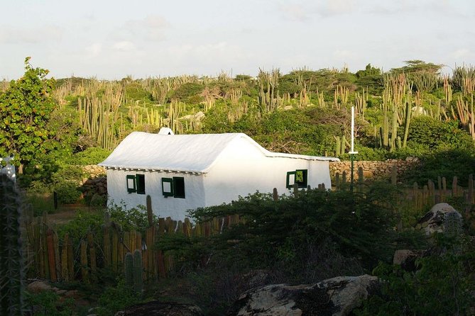Arikok Hiking Tour in Aruba - Additional Information