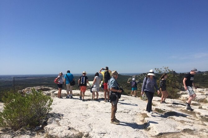 Arles and Les Baux-de-Provence Private Tour - Gastronomic Delights