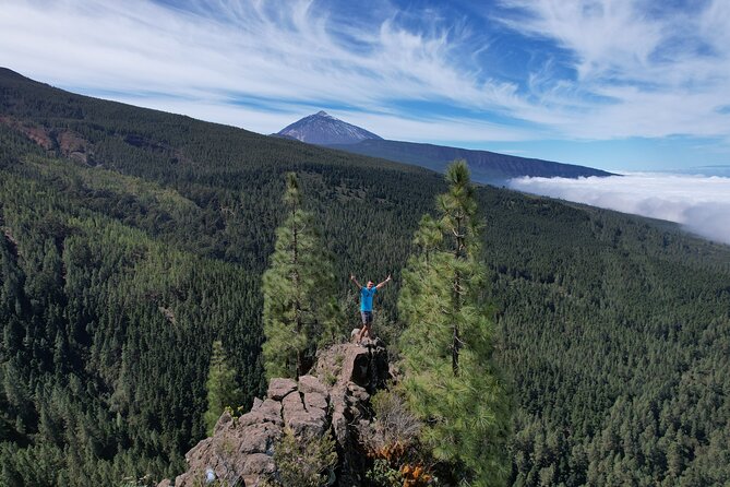 Around Tenerife in One Day - Common Questions
