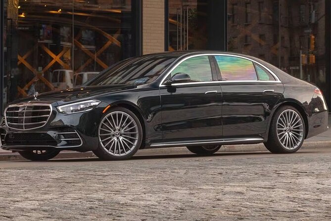 Arrival Private Transfer From Brandenburg Airport BER to BERlin in Luxury Car - Booking Confirmation and Accessibility