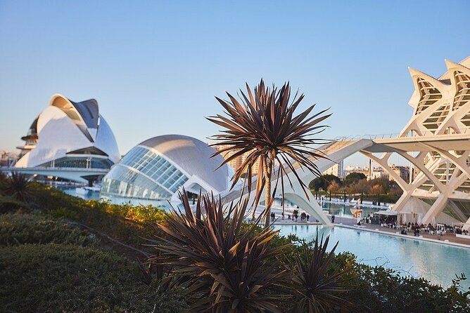 Arrival Private Transfer: Valencia Airport VLC to Valencia in Luxury Van - Questions