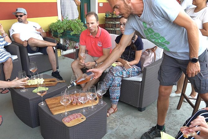 Art Experience With Food and Wine Tasting in Lazise - Discovering the Artistic Side of Lazise Through Food and Wine