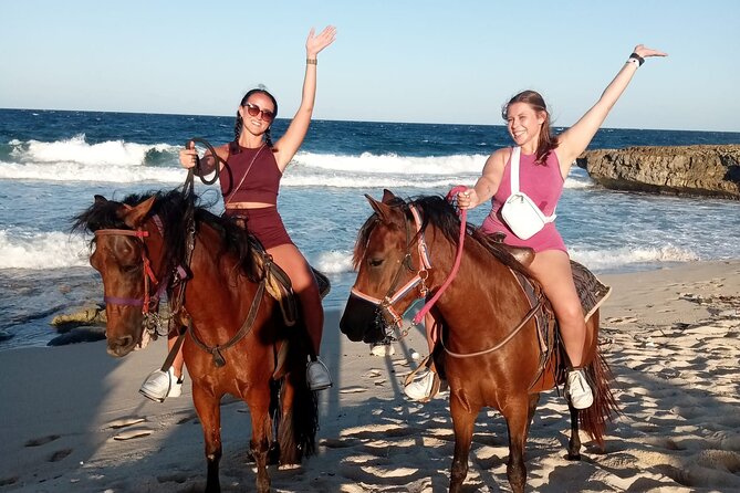 Aruba Horseback Beach & National Park Ride - Positive Reviews and Recommendations