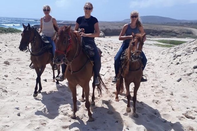 Aruba Horseback Riding Tour to Urirama Cove - The Sum Up