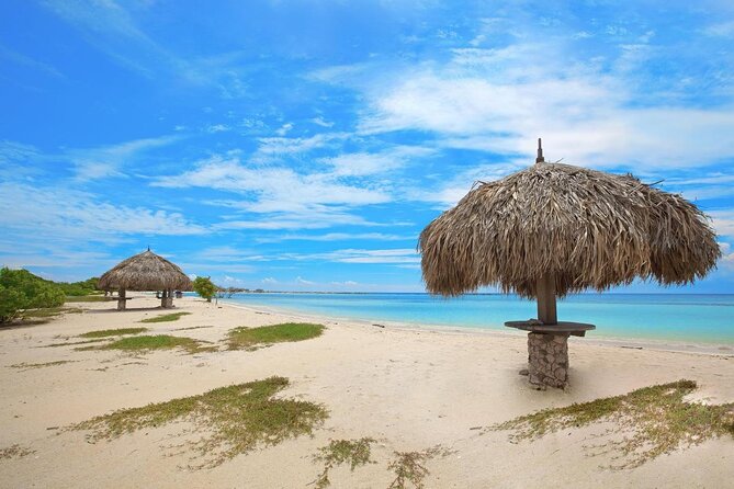 Aruba Off-Road Adventure: Jeep Tour and Optional Snorkeling Cruise - Tour Details