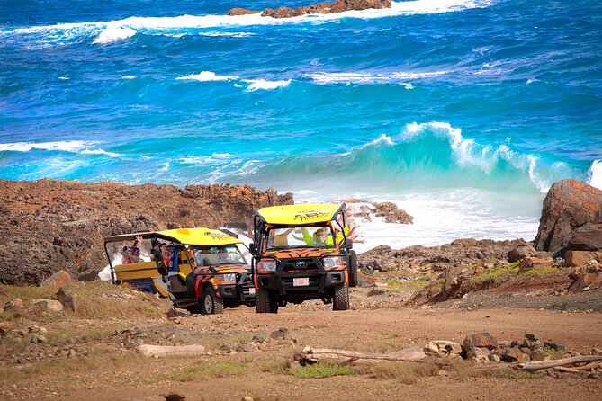 Aruba Shore Excursion: Natural Pool & Indian Cave Jeep Safari - Highlights of the Tour