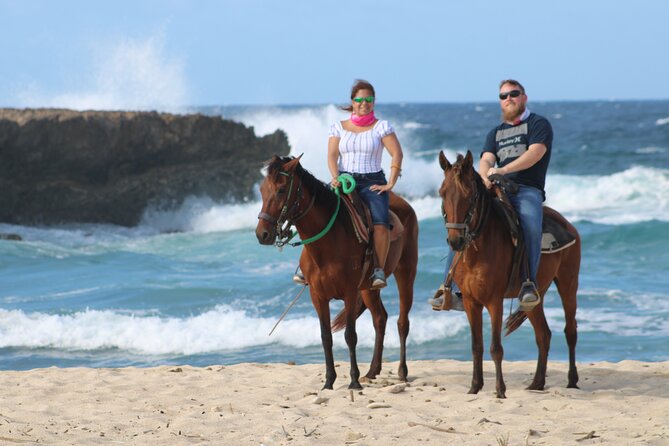 Aruba: Small-Group North Coast Horseback Tour - Additional Information