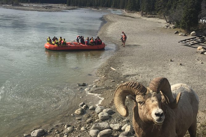 Athabasca River Easy Scenic Raft Trip - The Sum Up