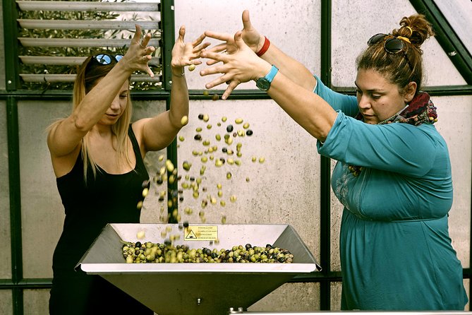ATHENS OLIVE ESTATE - Tasting & Tour With Farm-To-Fork Lunch - Terms and Conditions
