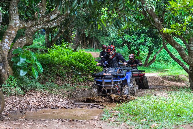 ATV Safari 3 Hrs & Jungle Trekking Day Tour From Chiang Mai - The Sum Up