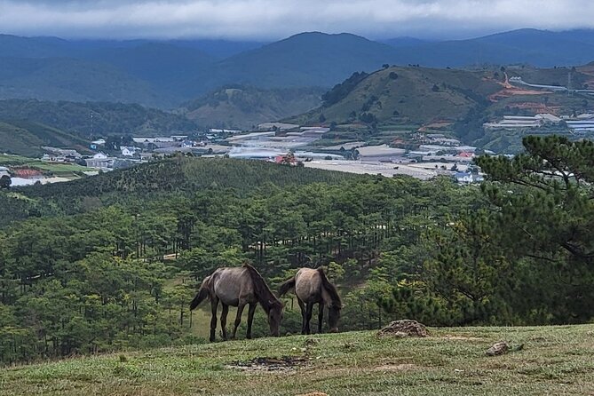 ATV Tour In The Dalat Mountains - Terms and Conditions