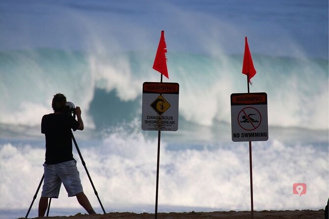 Audio Driving Tour in Oahu Hawaii - Authentic Reviews and Ratings