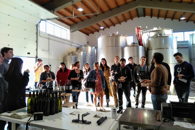 Authentic Experience in Organic Winery - Sustainability in Winemaking: the Organic Approach
