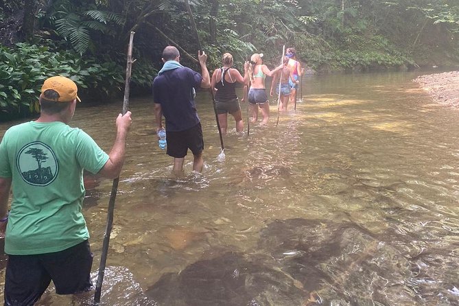 Avocat Waterfall Tour & Beach Stop Package - Pricing and Group Size Options