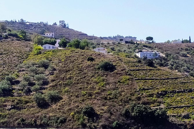 Axarquia VIP Wine Tour With Gourmet Winery Lunch Experience - Meeting Local Winemakers