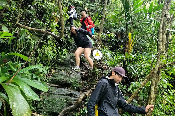 Bach Ma National Park Trekking Daily Tour From Hue - Booking and Pricing Information