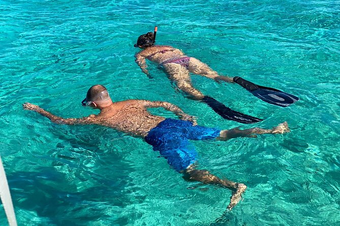 Bahamas Beaches and Swimming Pigs Full-Day All-Inclusive Tour  - New Providence Island - Important Information