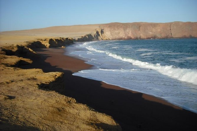 Ballestas Islands and Paracas National Reserve Day Trip From Paracas - Reviews