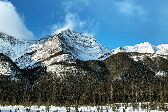 Banff Nature Walk 2hrs - Winter Edition / Ice Cleats Included - Cancellation Policy