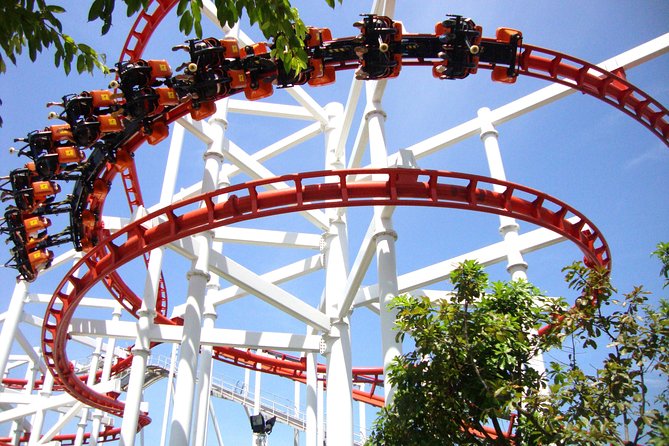 Bangkok Dream World & Snow Town Tour With Lunch - Booking and Availability Information
