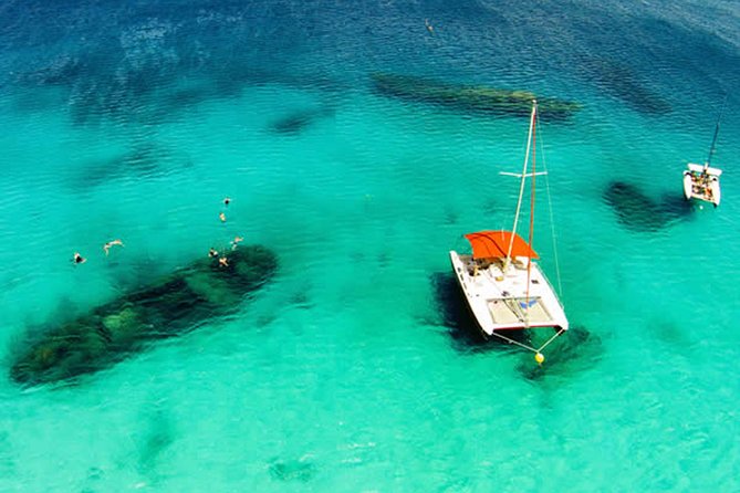 Barbados Catamaran Turtle Snorkel With Open Bar - The Sum Up