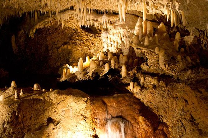 Barbados Harrisons Cave Tram Tour and Boat Cruise Snorkel Adventure - Traveler Photos and Reviews