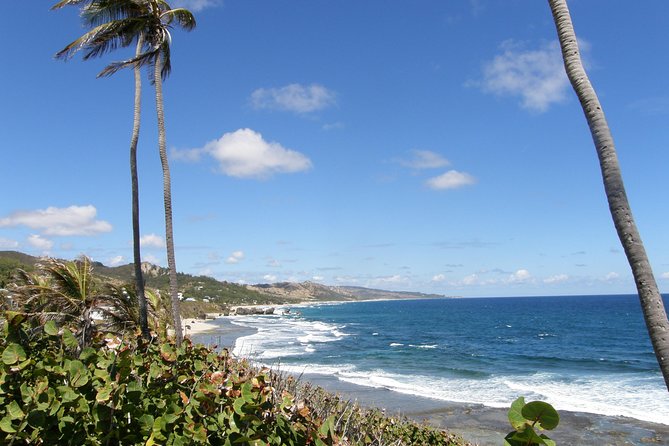 Barbados Small-Group or Private Coastal Sightseeing Tour - The Sum Up