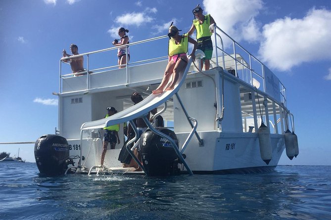 Barbados Turtle and Shipwreck Snorkel Adventure - Family-Friendly