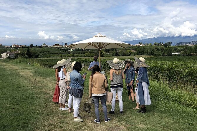 Bardolino Winery Tour and Tasting  - Verona - Reviews