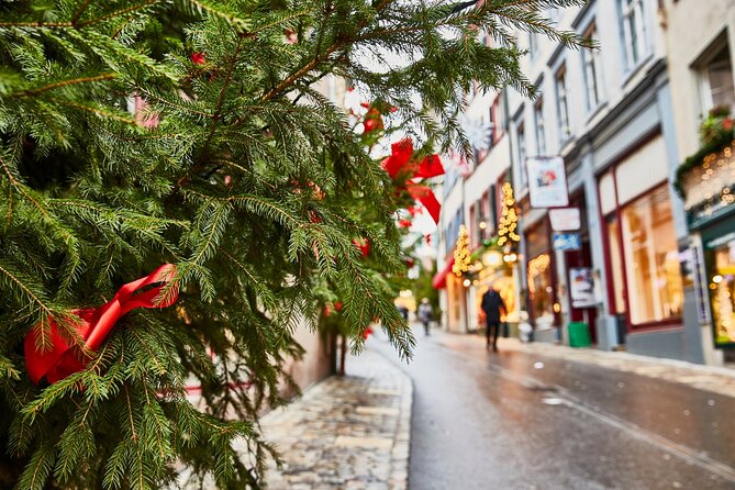 Basel Scavenger Hunt and Best Landmarks Self-Guided Tour - Overall Experience