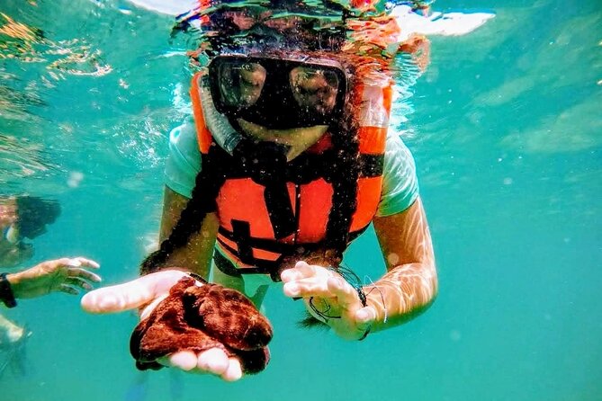 Beach Break Experience & Snorkeling With Lunch - Common Questions